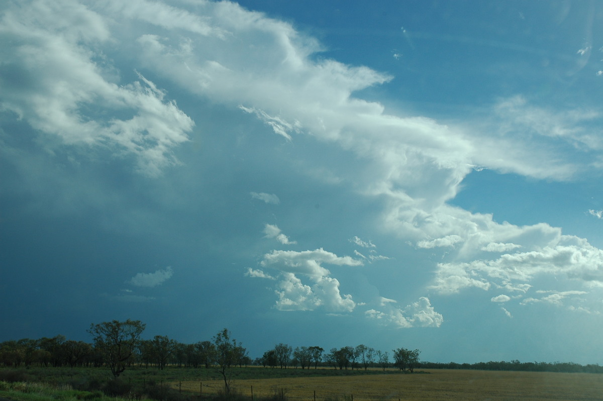 cumulonimbus supercell_thunderstorm : Walgett, NSW   8 December 2004