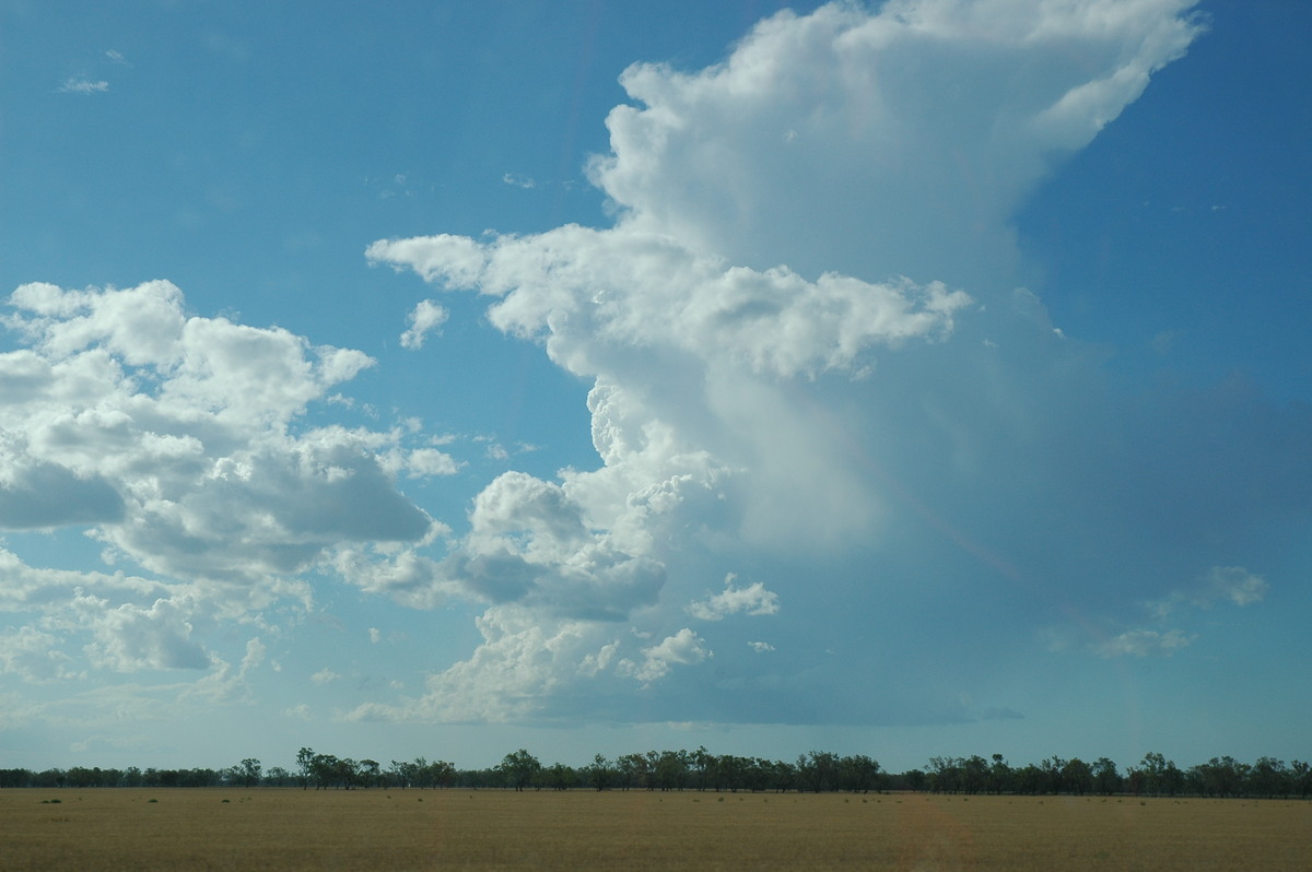 thunderstorm cumulonimbus_incus : Walgett, NSW   8 December 2004