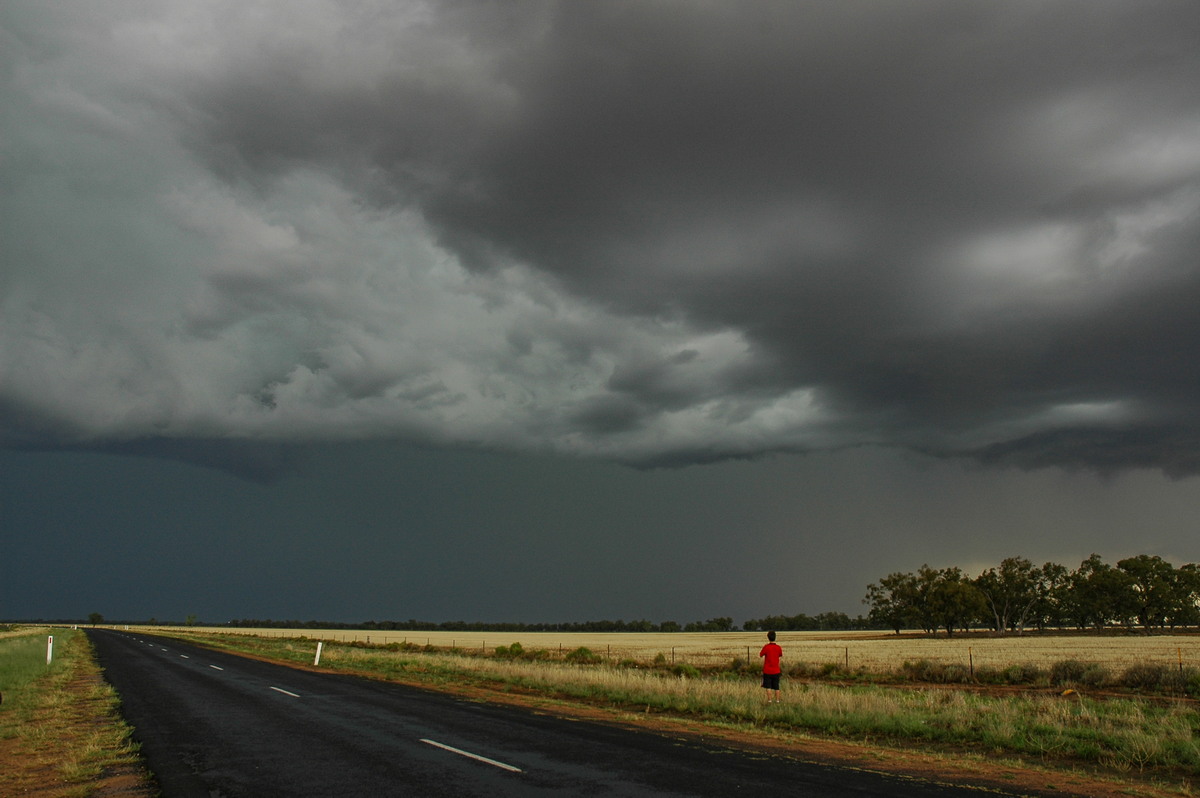 raincascade precipitation_cascade : S of Walgett, NSW   8 December 2004