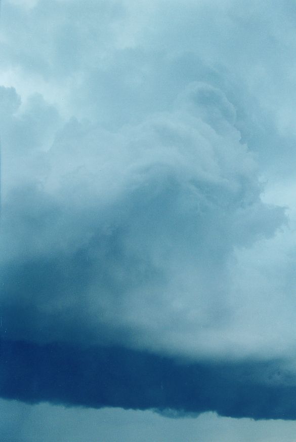 updraft thunderstorm_updrafts : Schofields, NSW   11 December 2004