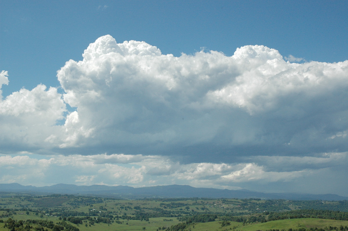 cumulus congestus : McLeans Ridges, NSW   12 December 2004