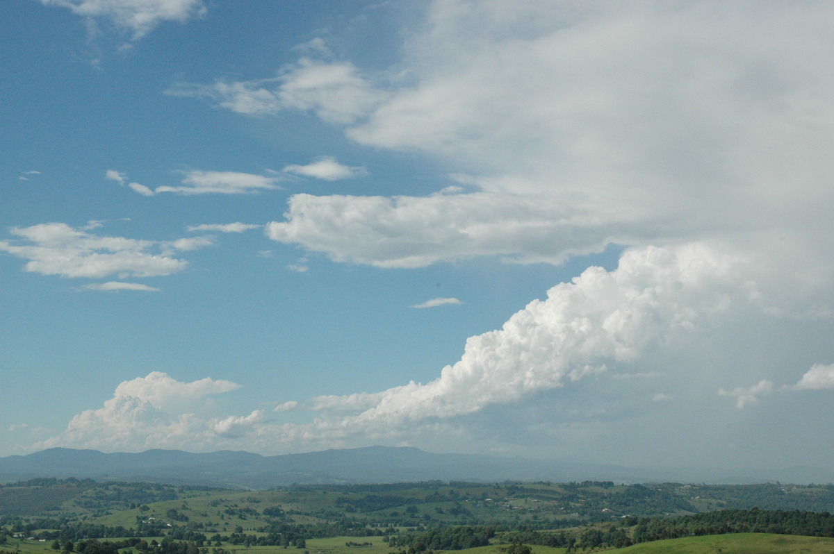 cumulus congestus : McLeans Ridges, NSW   12 December 2004