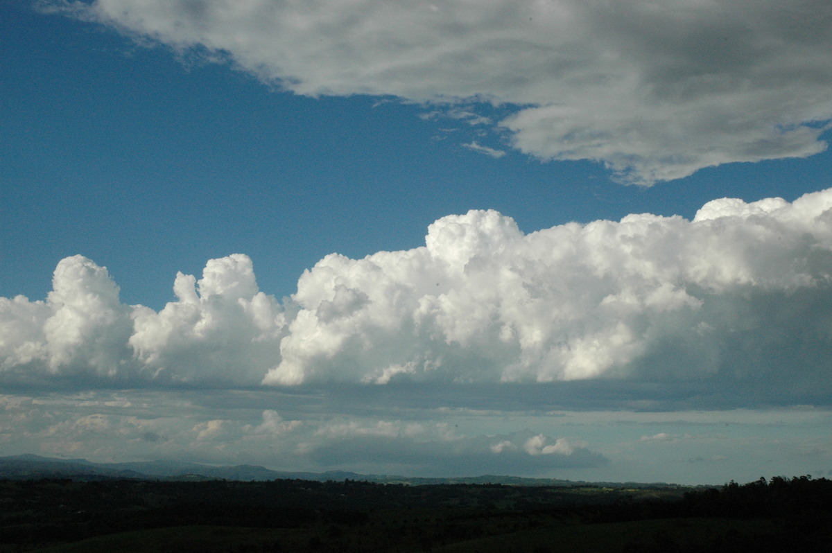 cumulus congestus : McLeans Ridges, NSW   12 December 2004