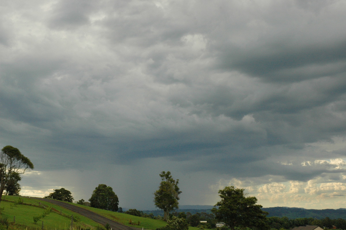 raincascade precipitation_cascade : McLeans Ridges, NSW   12 December 2004