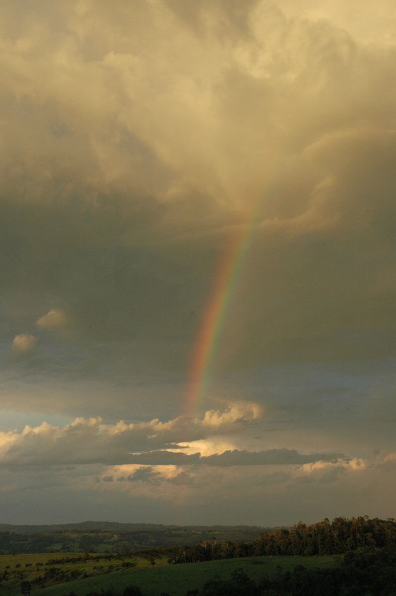 rainbow rainbow_pictures : McLeans Ridges, NSW   12 December 2004