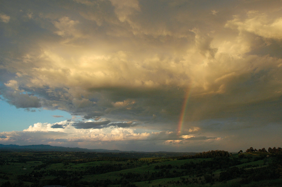 favourites michael_bath : McLeans Ridges, NSW   12 December 2004