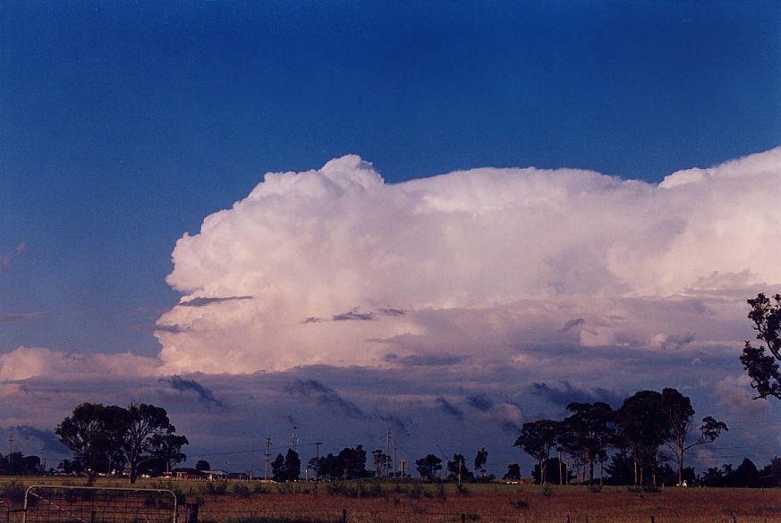 thunderstorm cumulonimbus_incus : Luddenham, NSW   13 December 2004