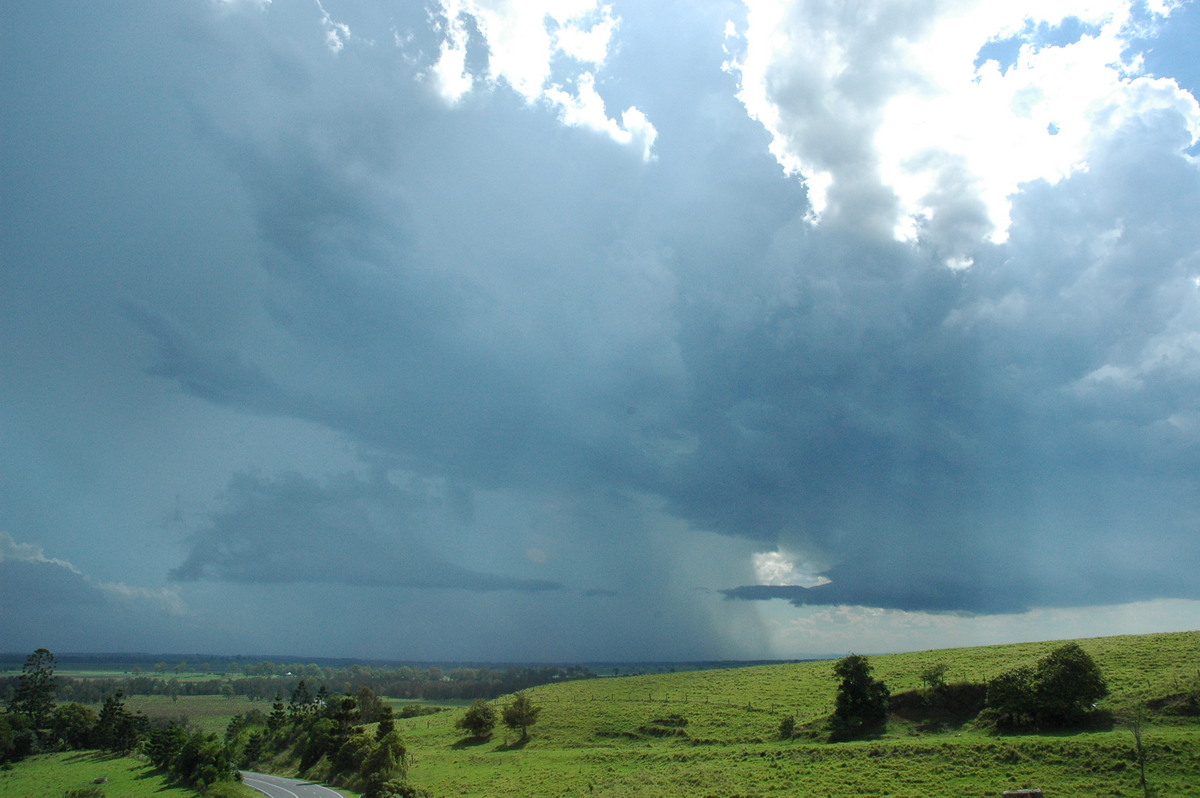 raincascade precipitation_cascade : Parrots Nest, NSW   13 December 2004