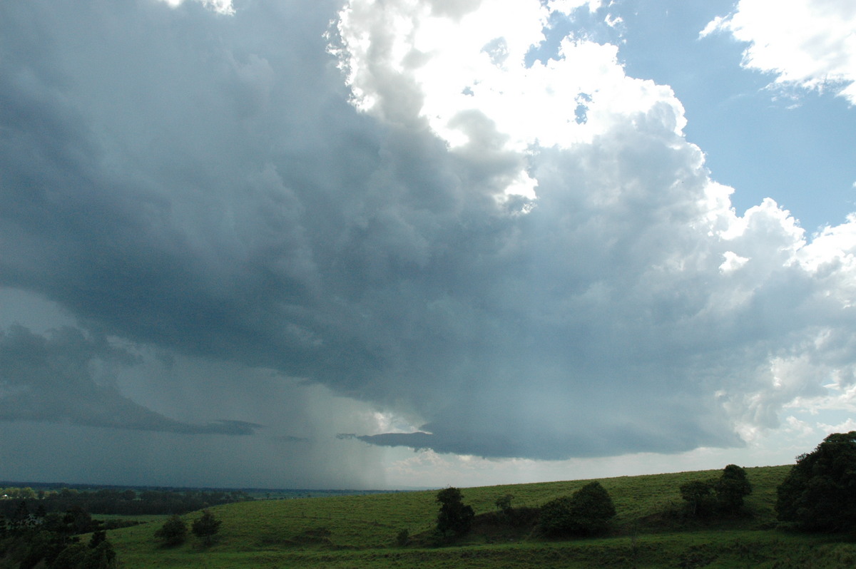 inflowband thunderstorm_inflow_band : Parrots Nest, NSW   13 December 2004