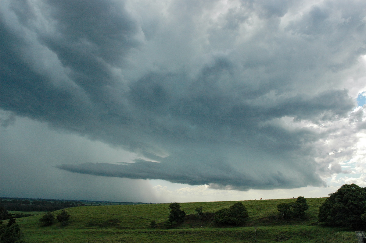 raincascade precipitation_cascade : Parrots Nest, NSW   13 December 2004