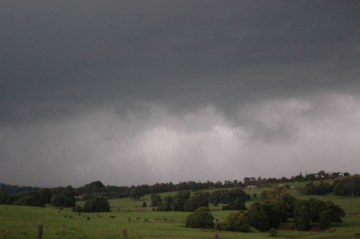 cumulonimbus thunderstorm_base : Clunes, NSW   13 December 2004