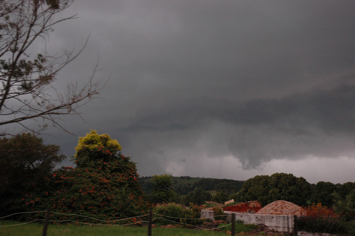 cumulonimbus thunderstorm_base : Bangalow, NSW   13 December 2004