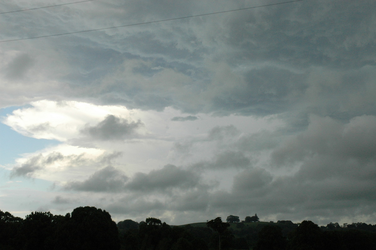 stratus stratus_cloud : Bangalow, NSW   13 December 2004
