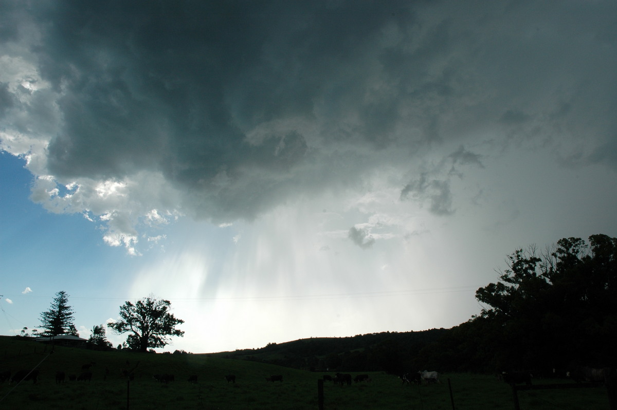 raincascade precipitation_cascade : Bangalow, NSW   13 December 2004