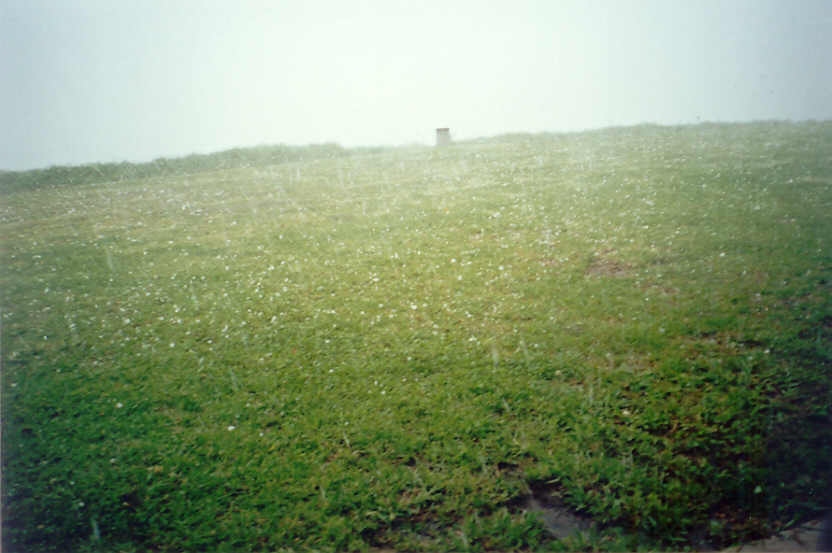 hailstones hail_stones : McLeans Ridges, NSW   13 December 2004
