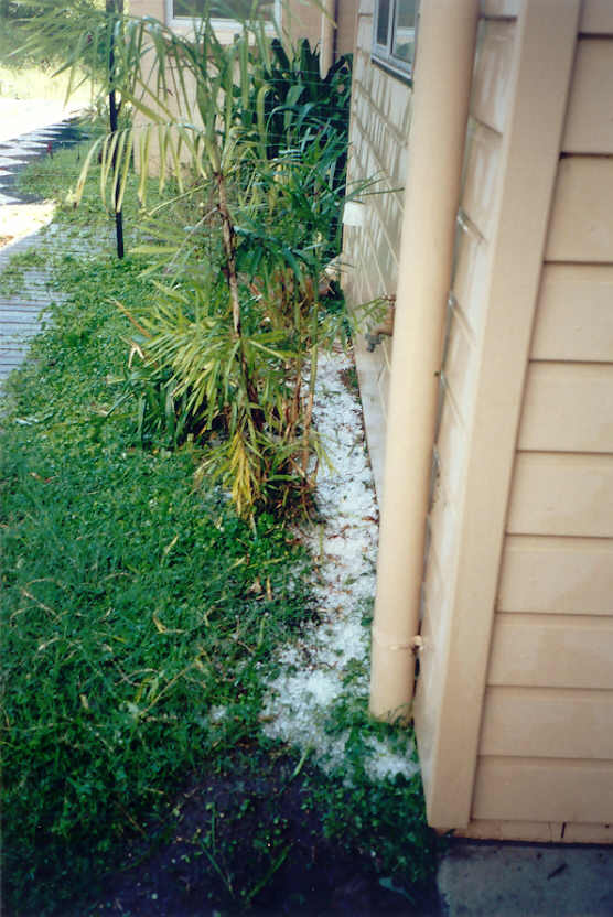 hailstones hail_stones : McLeans Ridges, NSW   13 December 2004