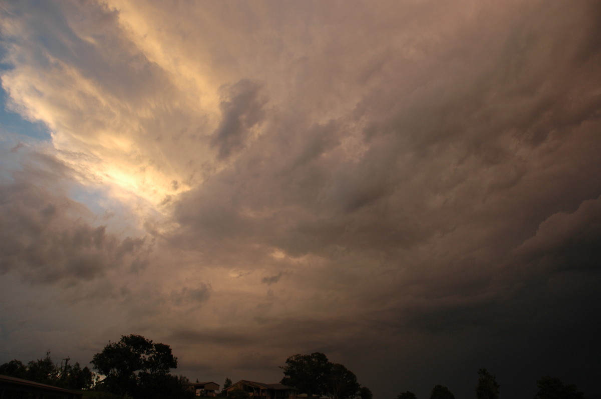 anvil thunderstorm_anvils : McLeans Ridges, NSW   17 December 2004