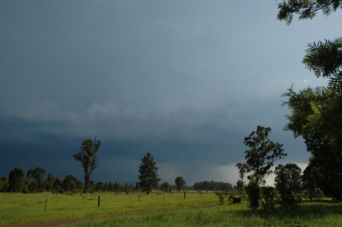 cumulonimbus thunderstorm_base : near Whiporie, NSW   19 December 2004