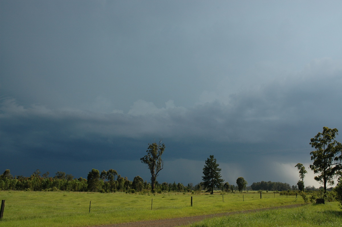 cumulonimbus thunderstorm_base : near Whiporie, NSW   19 December 2004