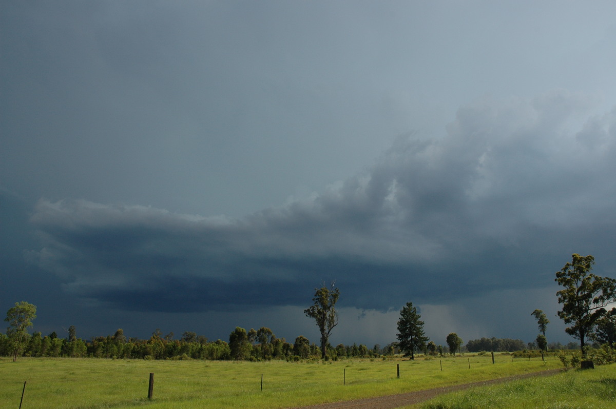 cumulonimbus thunderstorm_base : near Whiporie, NSW   19 December 2004