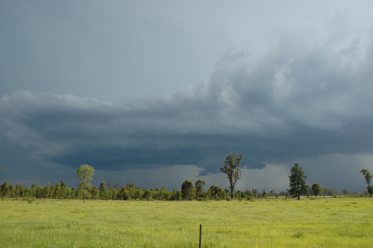 cumulonimbus thunderstorm_base : near Whiporie, NSW   19 December 2004