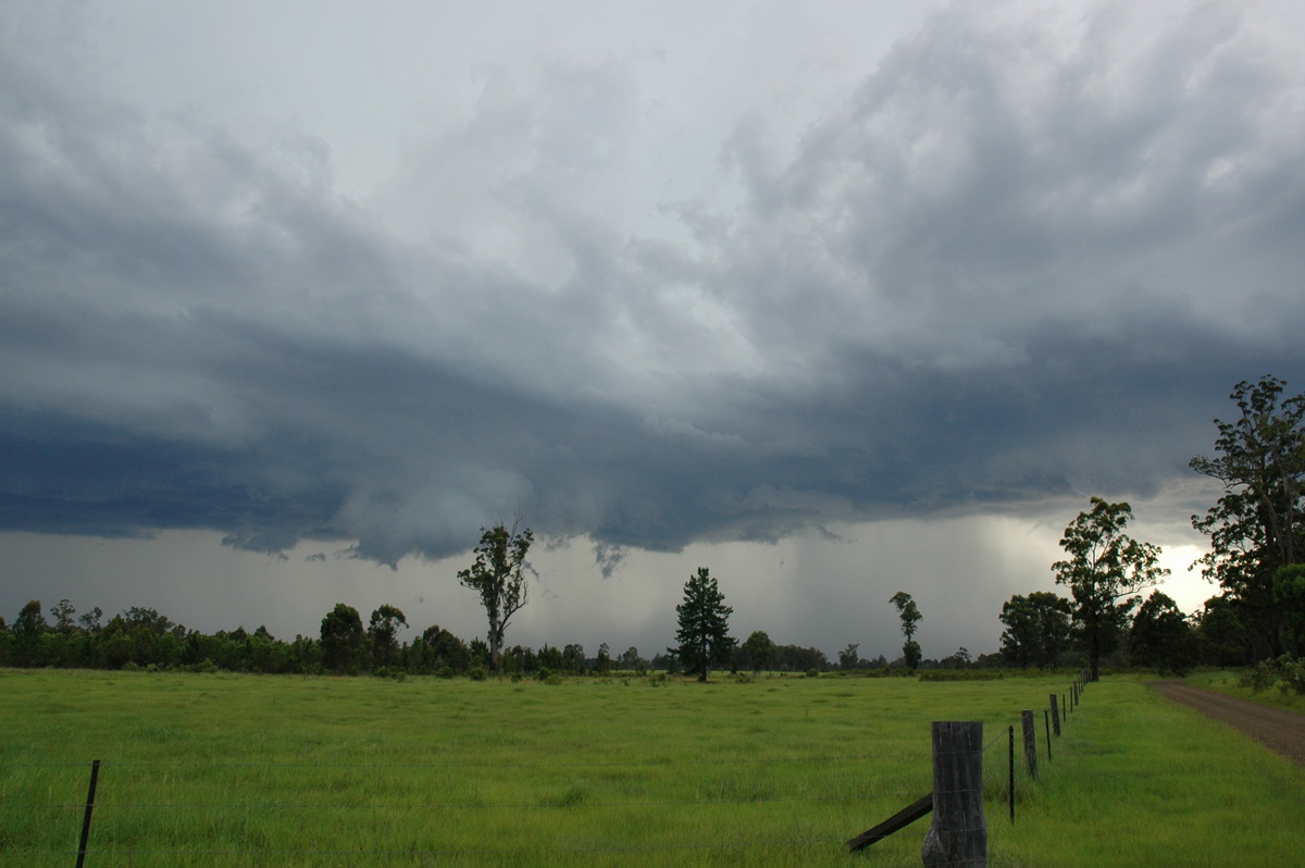 cumulonimbus thunderstorm_base : near Whiporie, NSW   19 December 2004