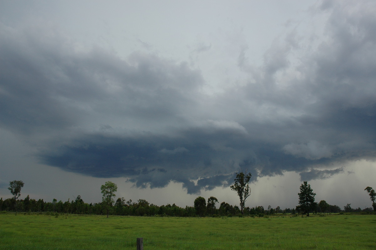 wallcloud thunderstorm_wall_cloud : near Whiporie, NSW   19 December 2004