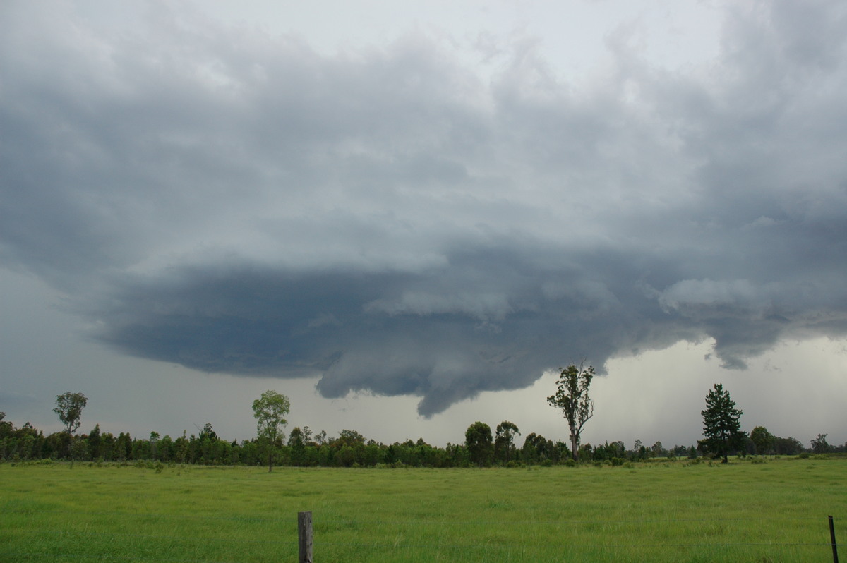 cumulonimbus thunderstorm_base : near Whiporie, NSW   19 December 2004