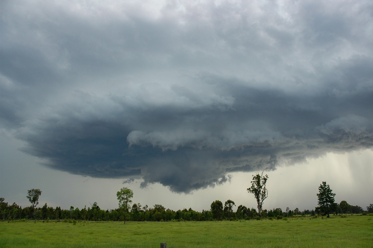 cumulonimbus thunderstorm_base : near Whiporie, NSW   19 December 2004