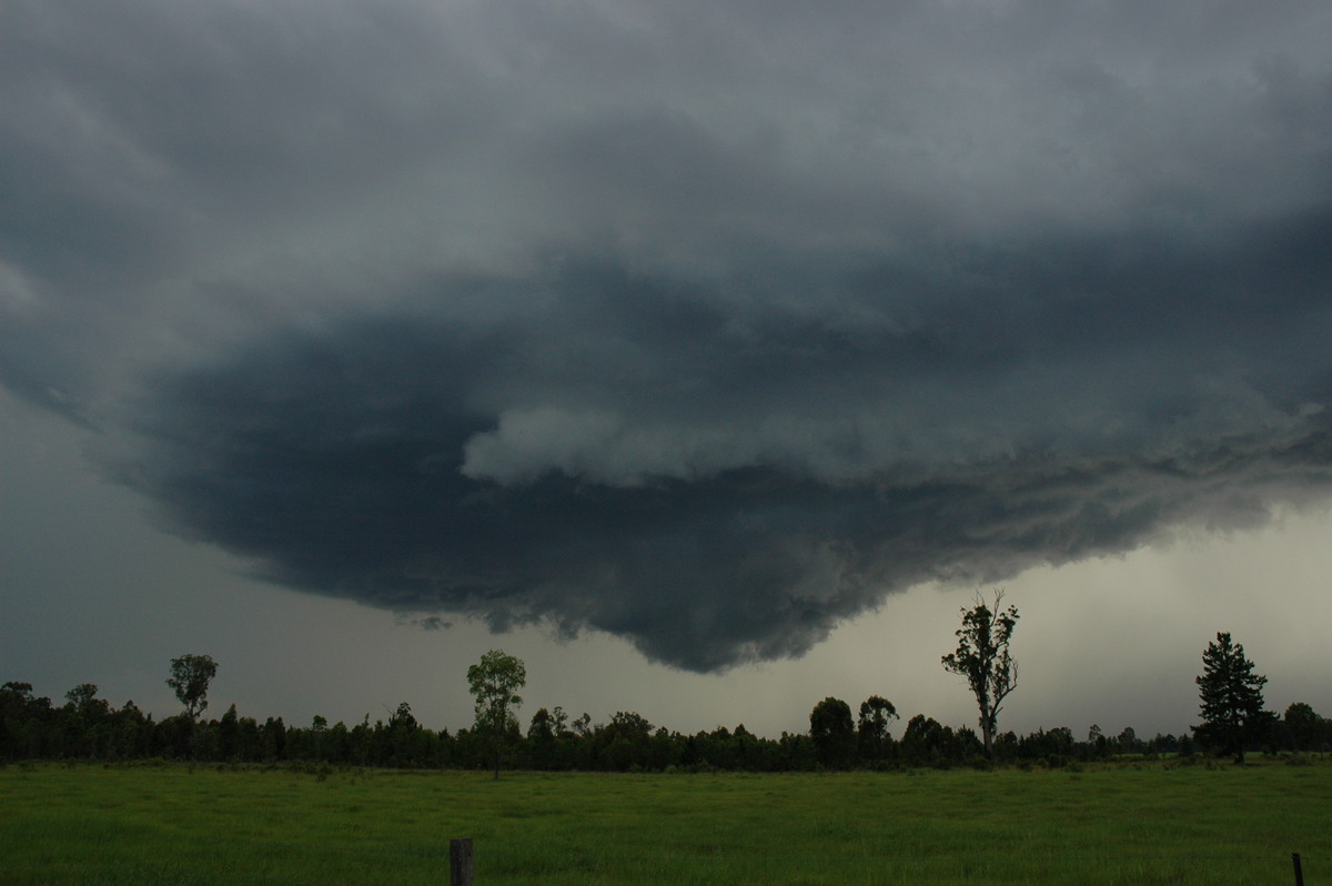 wallcloud thunderstorm_wall_cloud : near Whiporie, NSW   19 December 2004