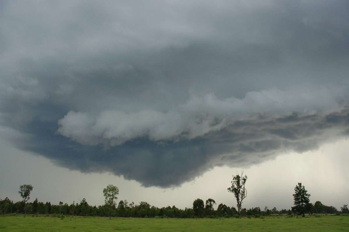 wallcloud thunderstorm_wall_cloud : near Whiporie, NSW   19 December 2004