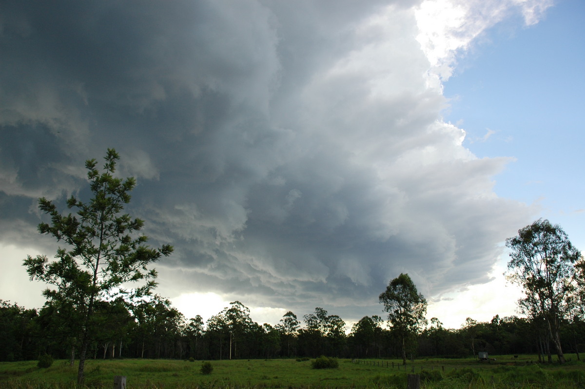 shelfcloud shelf_cloud : near Whiporie, NSW   19 December 2004