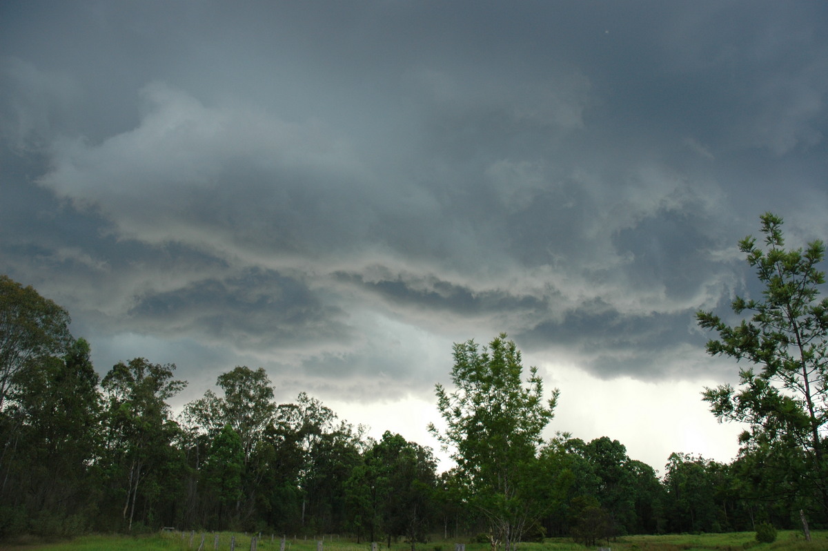 shelfcloud shelf_cloud : near Whiporie, NSW   19 December 2004