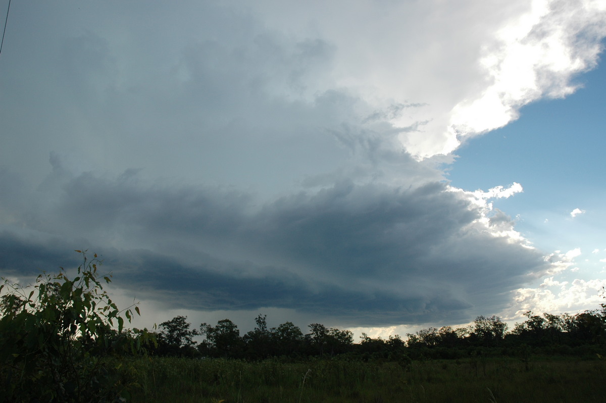 shelfcloud shelf_cloud : near Whiporie, NSW   19 December 2004