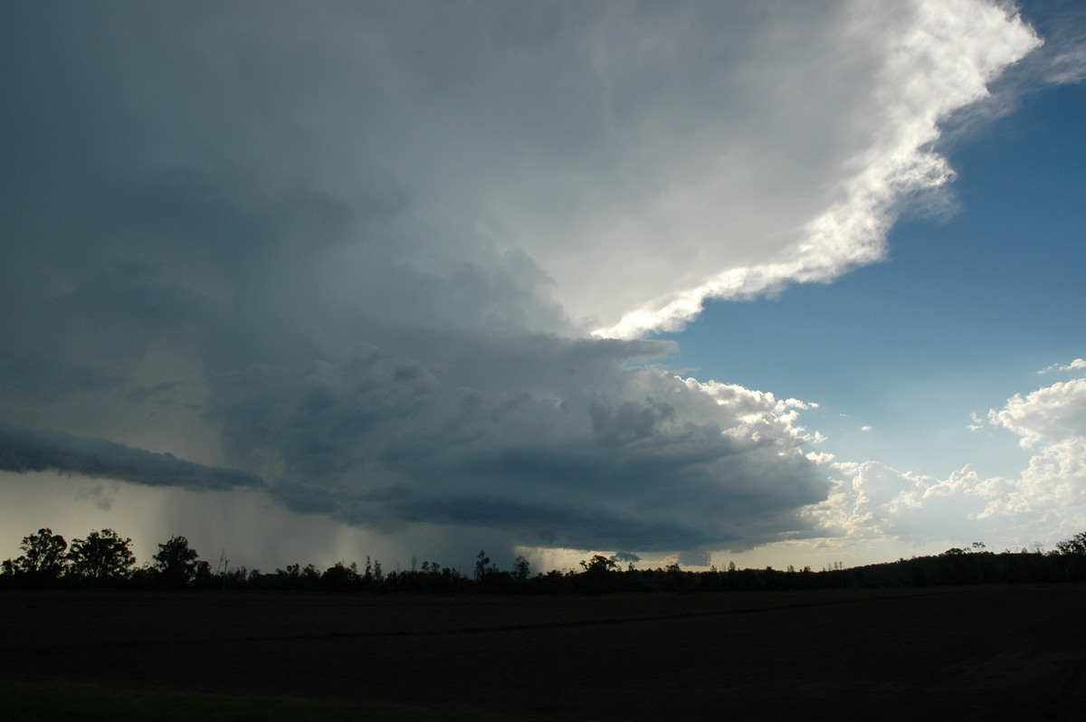 cumulonimbus thunderstorm_base : near Coraki, NSW   19 December 2004