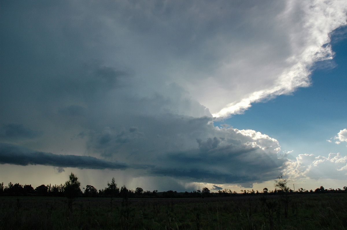 cumulonimbus thunderstorm_base : near Coraki, NSW   19 December 2004