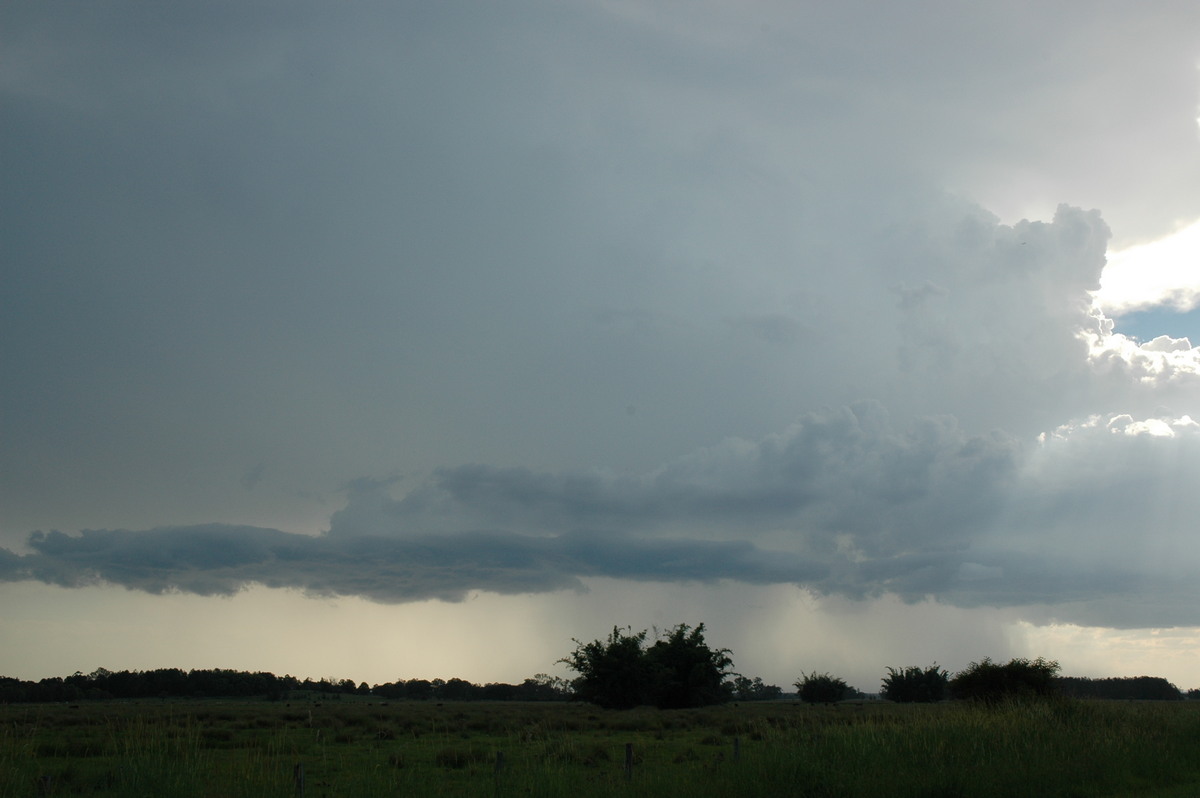 cumulonimbus thunderstorm_base : near Coraki, NSW   19 December 2004