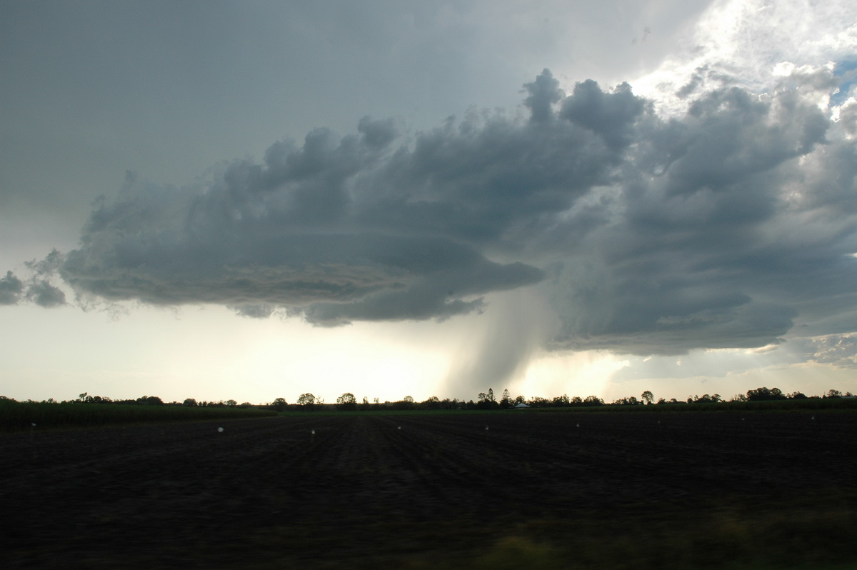 cumulonimbus thunderstorm_base : near Coraki, NSW   19 December 2004