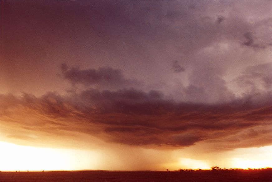 raincascade precipitation_cascade : S of Dubbo, NSW   23 December 2004