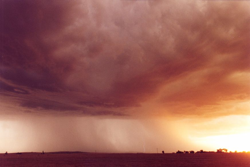 lightning lightning_bolts : S of Dubbo, NSW   23 December 2004