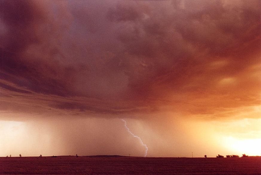 lightning lightning_bolts : S of Dubbo, NSW   23 December 2004