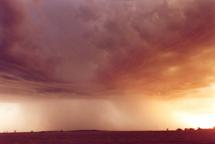 raincascade precipitation_cascade : S of Dubbo, NSW   23 December 2004