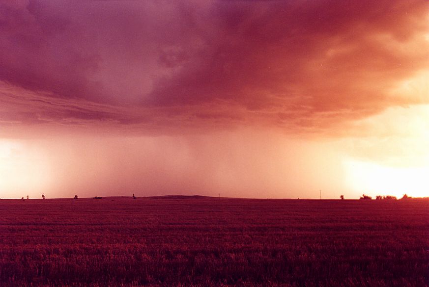 raincascade precipitation_cascade : S of Dubbo, NSW   23 December 2004