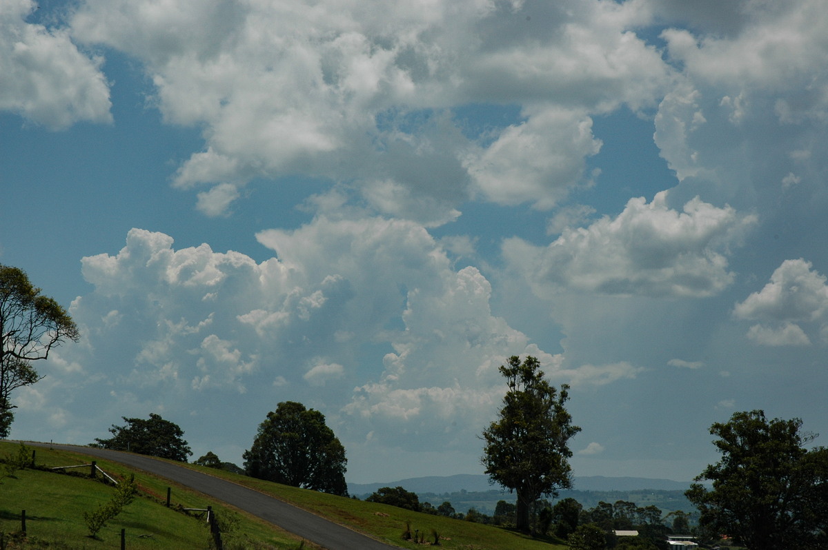 cumulus congestus : McLeans Ridges, NSW   23 December 2004