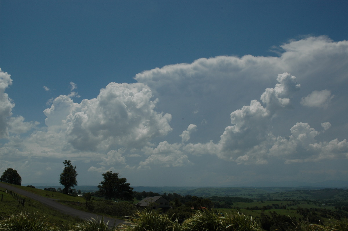 thunderstorm cumulonimbus_incus : McLeans Ridges, NSW   23 December 2004