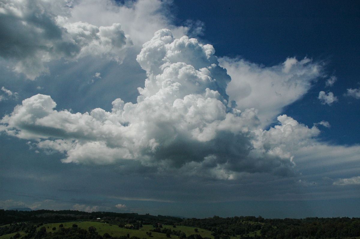 cumulus congestus : N of Lismore, NSW   23 December 2004