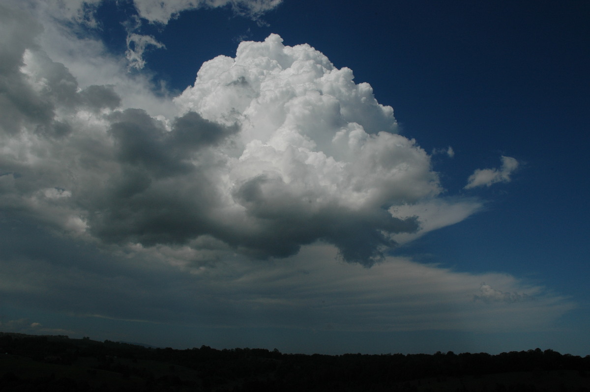 anvil thunderstorm_anvils : N of Lismore, NSW   23 December 2004