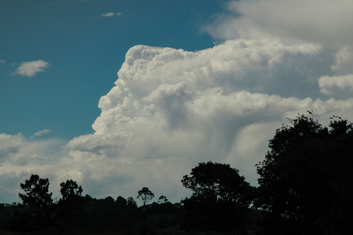 pileus pileus_cap_cloud : Parrots Nest, NSW   23 December 2004