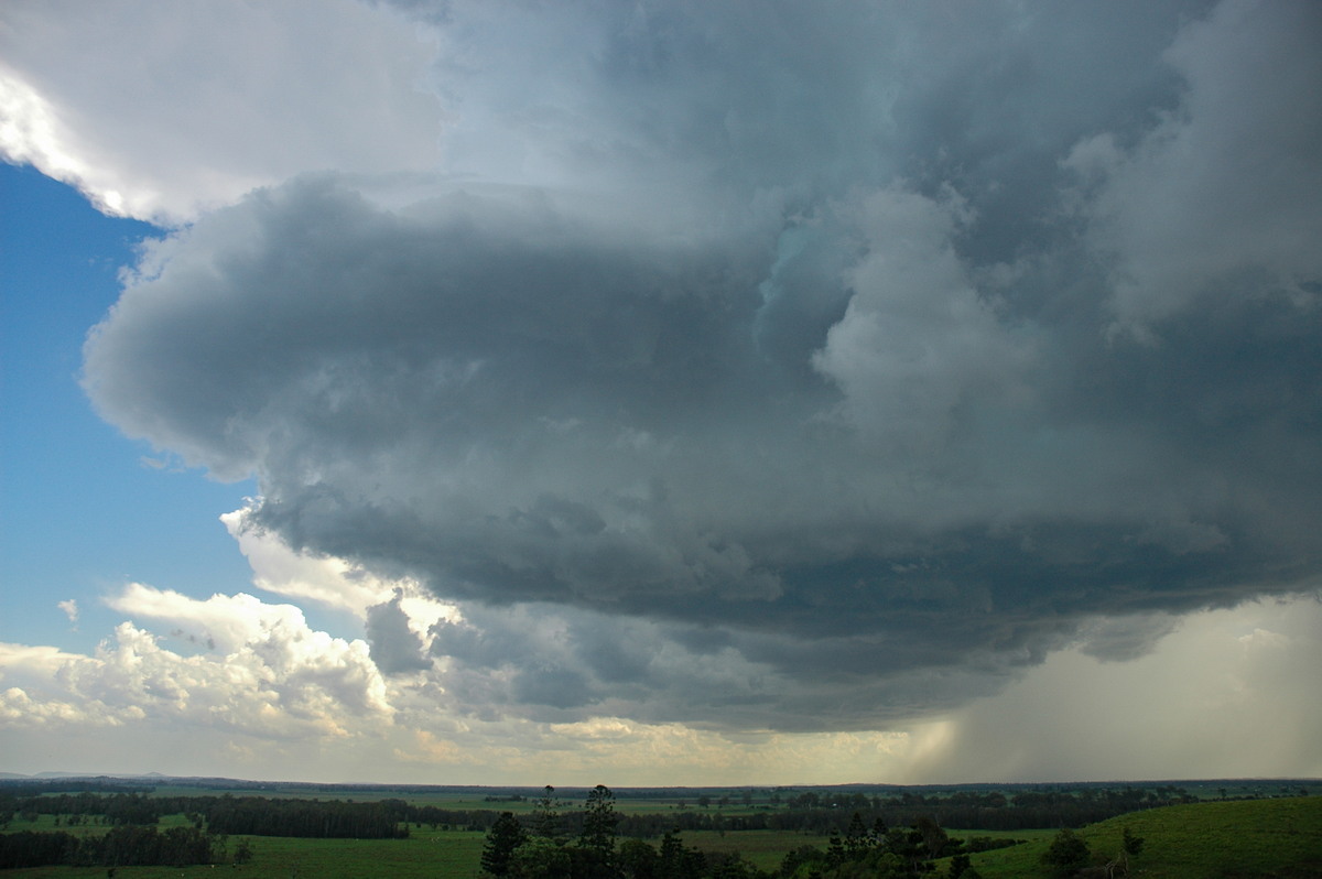 cumulonimbus thunderstorm_base : Parrots Nest, NSW   23 December 2004