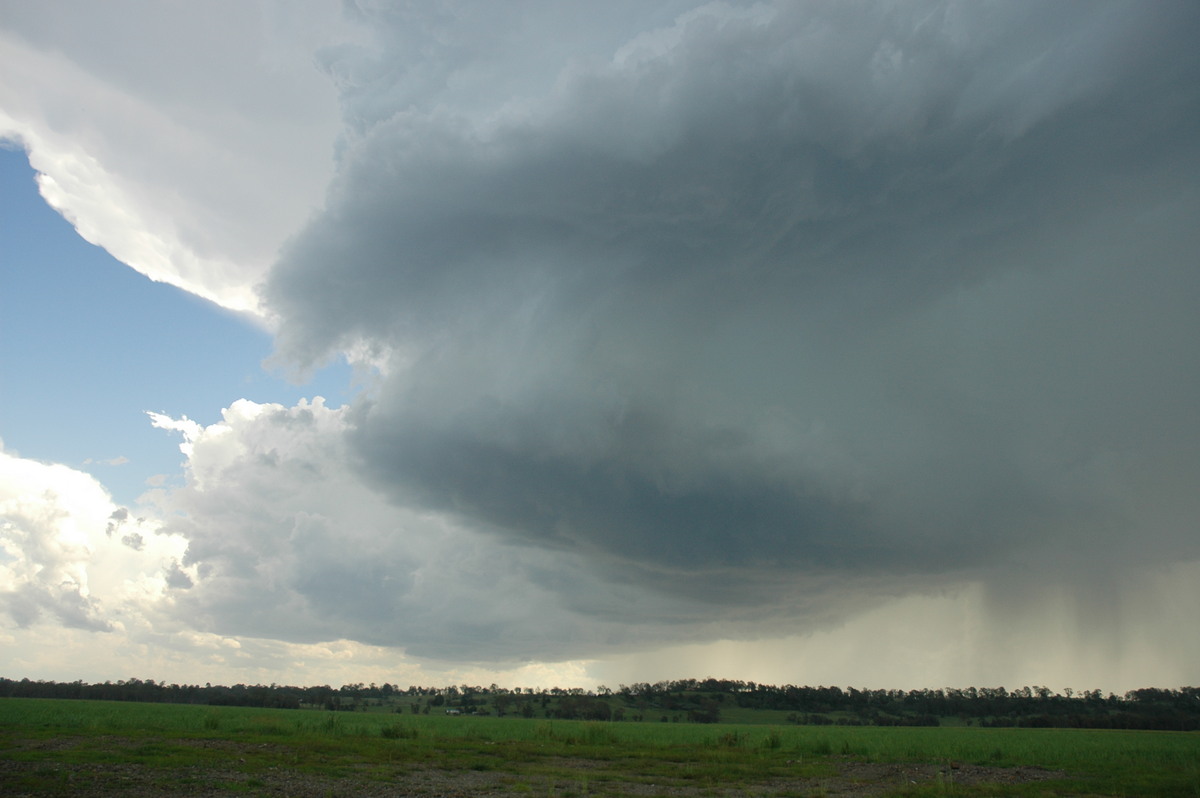 cumulonimbus thunderstorm_base : Parrots Nest, NSW   23 December 2004